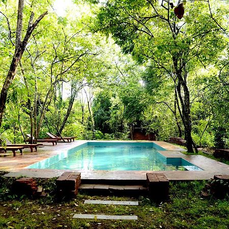 Hotel Mahagedara Wellness Retreat Avudangawa Zewnętrze zdjęcie