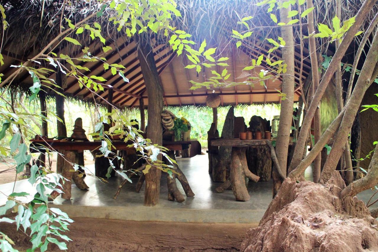Hotel Mahagedara Wellness Retreat Avudangawa Zewnętrze zdjęcie